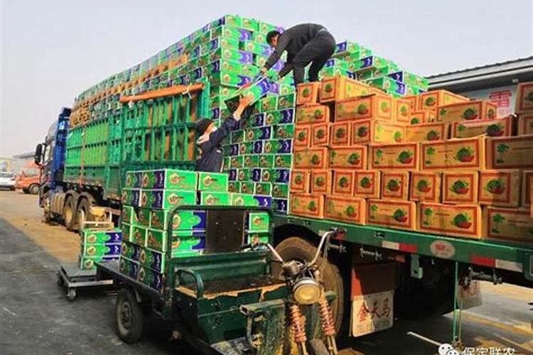 化肥哪里可以批发