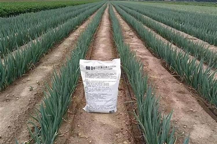 硼锌铁镁肥的用法用量