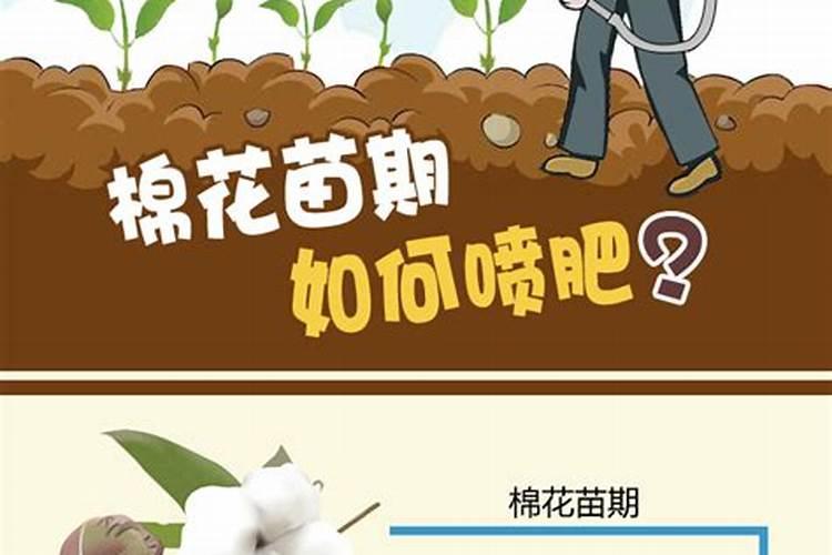 钾肥如何使用在花上