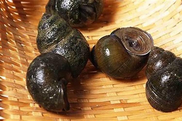 专家你好请问黄芩地里的杂草用什么除草剂能除掉杂草而不伤黄芩苗