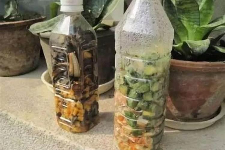 腐烂的水果对樱桃树又坏处吗？