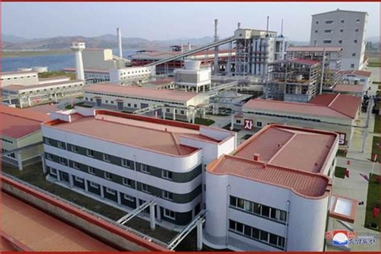 河南大蒜什么时候种植最佳