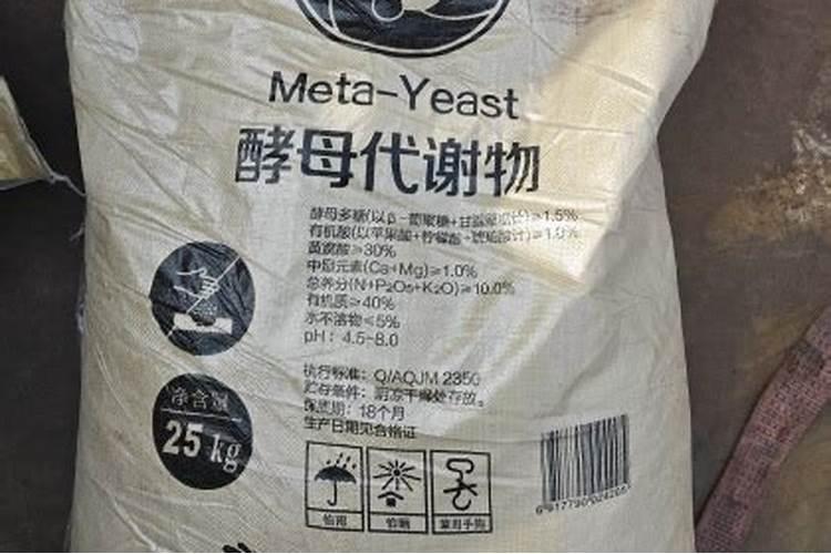 养殖菠菜应该怎么施肥