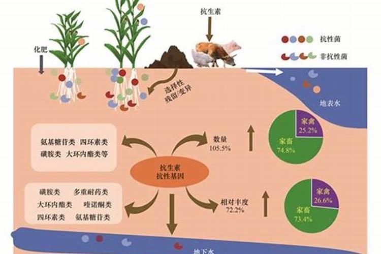 葡萄着色最快的方法
