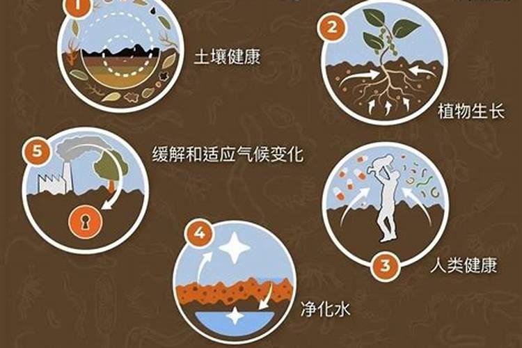 怎么做有机肥 做有机肥流程