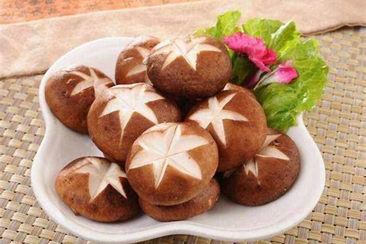 魔肥和好康多哪种好养兰花