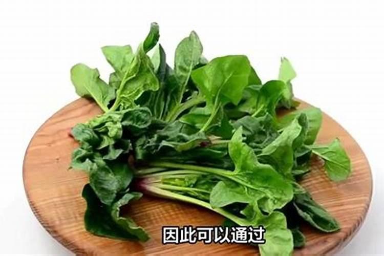 仙桃何李路二水厂在哪里