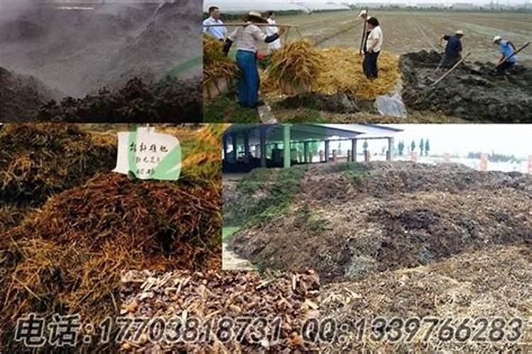 怎样在蔬菜上喷施叶面肥？ 代森锰锌在农业上的使用及注意事项