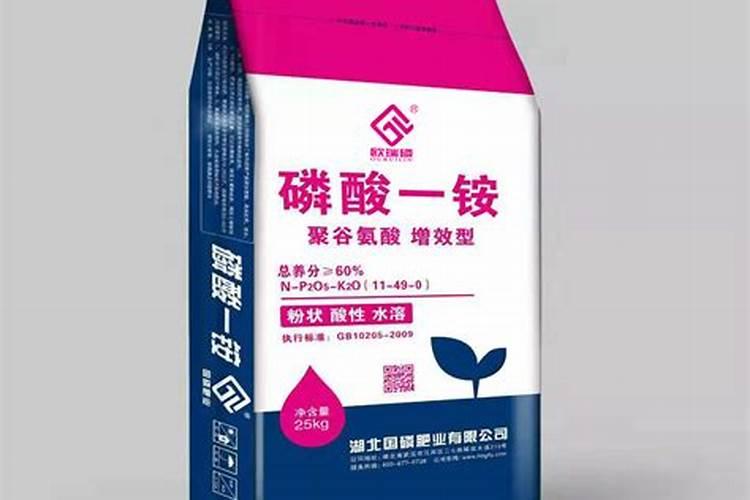 袋装花生粒粒宝是正品吗