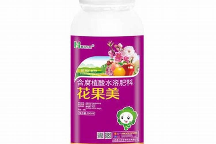 丑橘的种植方法及注意事项