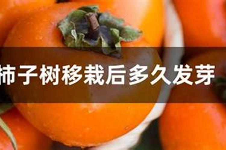 怎样才能得到高氮肥？