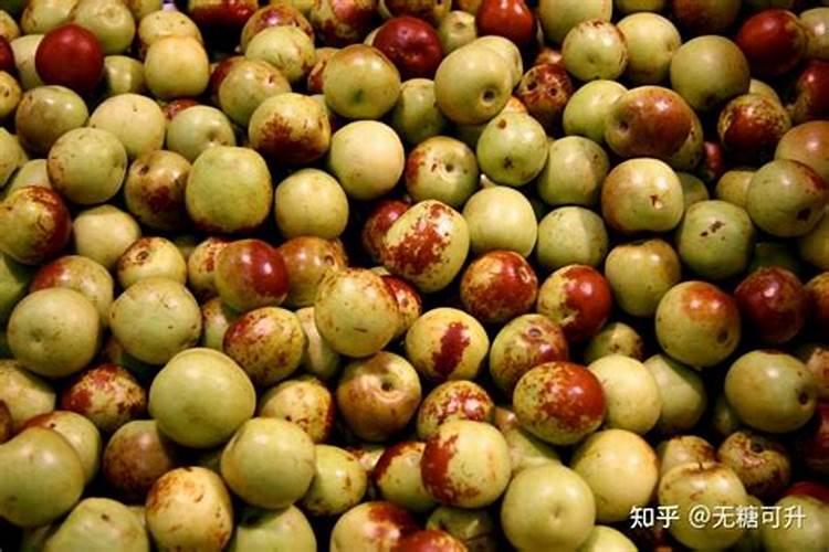 冬枣如何施肥才能高产