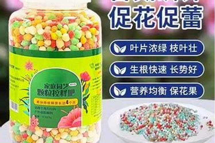 辣椒到了苗期该追肥了,可我不知道选啥肥,有的时候追完肥苗长得还是不...