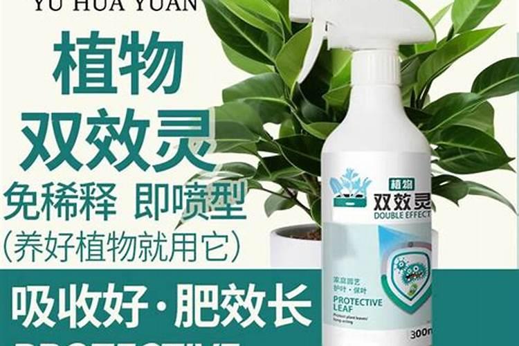 磷酸二氢钾加芸苔素喷施的效果