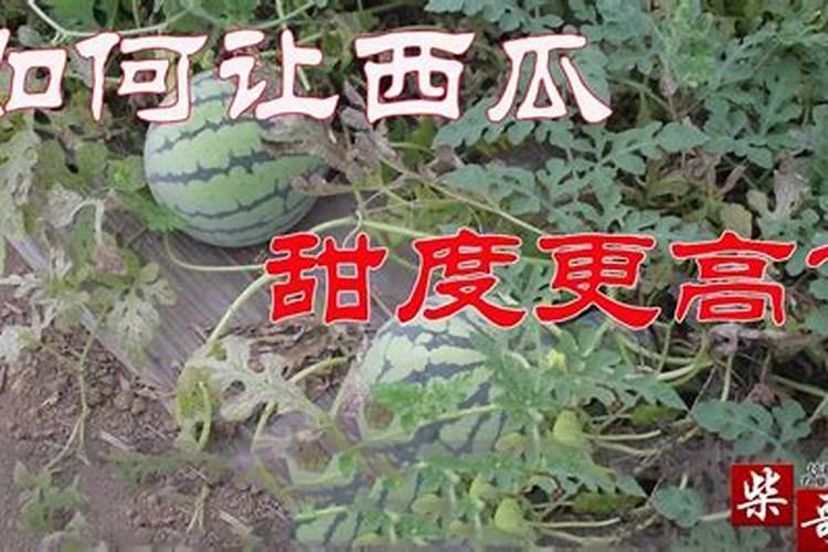 西瓜用磷酸二氢钾可以灌根吗
