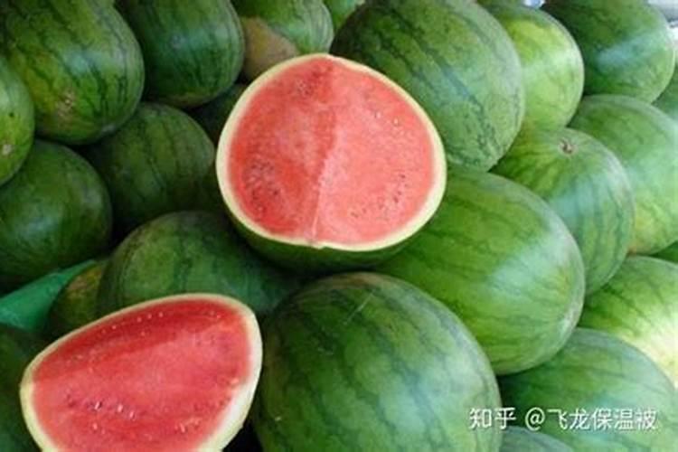 西瓜苗栽了三天能用叶面肥吗？