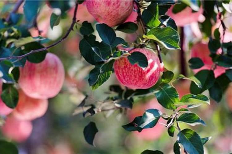 小时候吃的红色包装的亲嘴奶糖