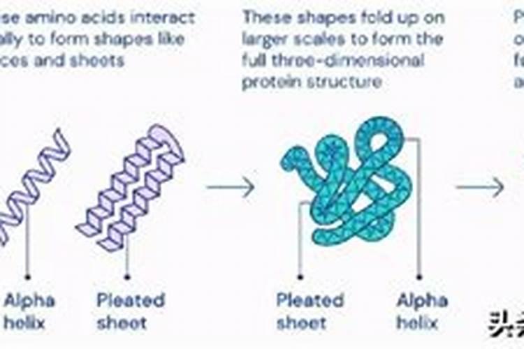 吃草莓放糖会丧失本身的营养吗？