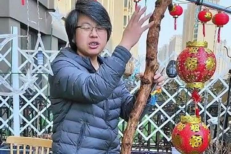 榆树下山桩出芽后能否喷些叶面肥