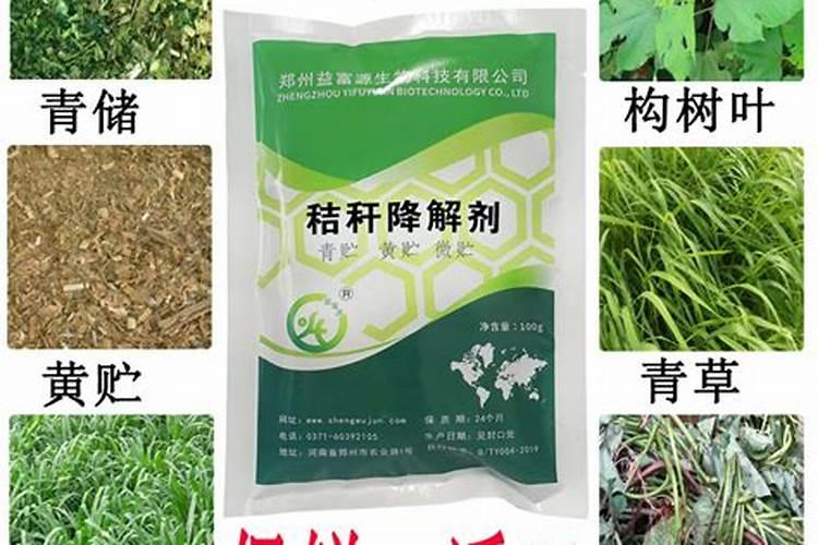 玉米秸秆还田应该注意什么 怎么正确有效使玉米秸秆还田