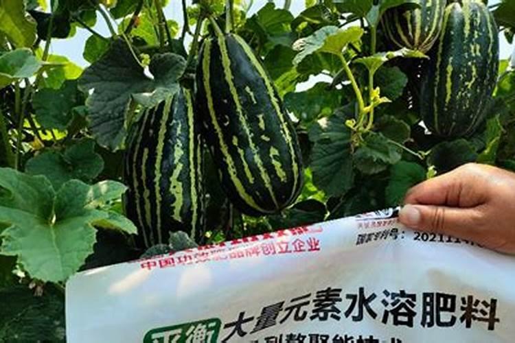 一亩地用多少硼肥 如何正确施硼肥