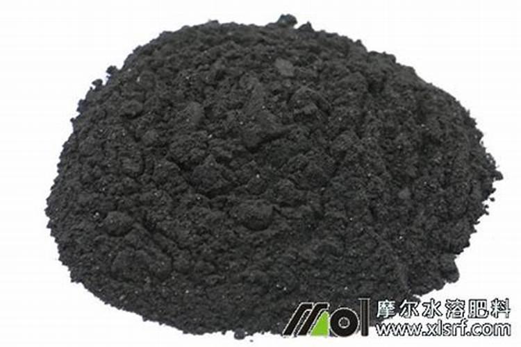 辣椒苗床期用什么肥料壮苗长得快