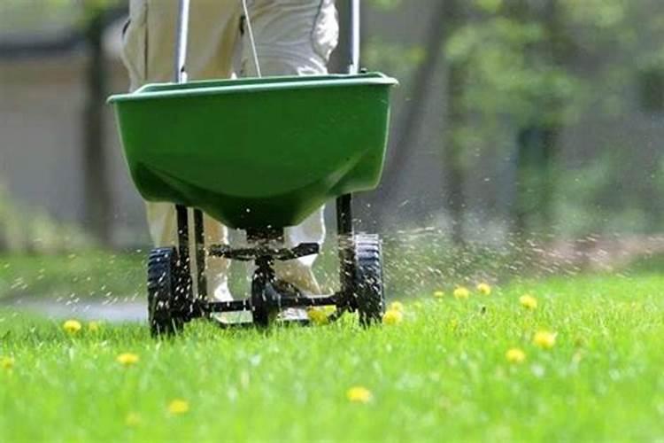 花生需要喷几遍药？第一遍在什么时候最好？