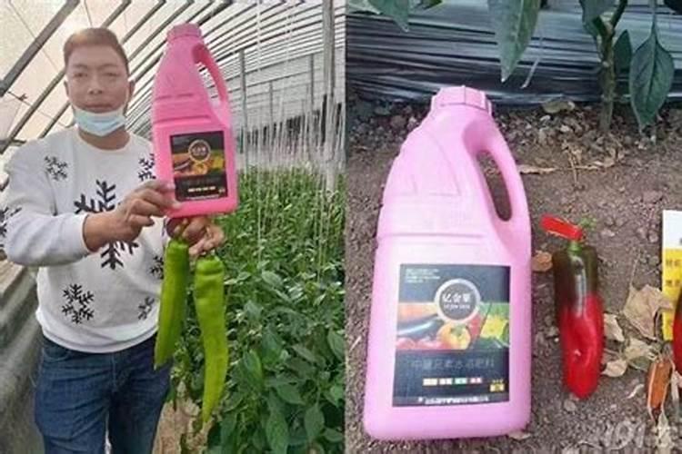 花生喷施钙肥最佳时间 什么时候使用合适