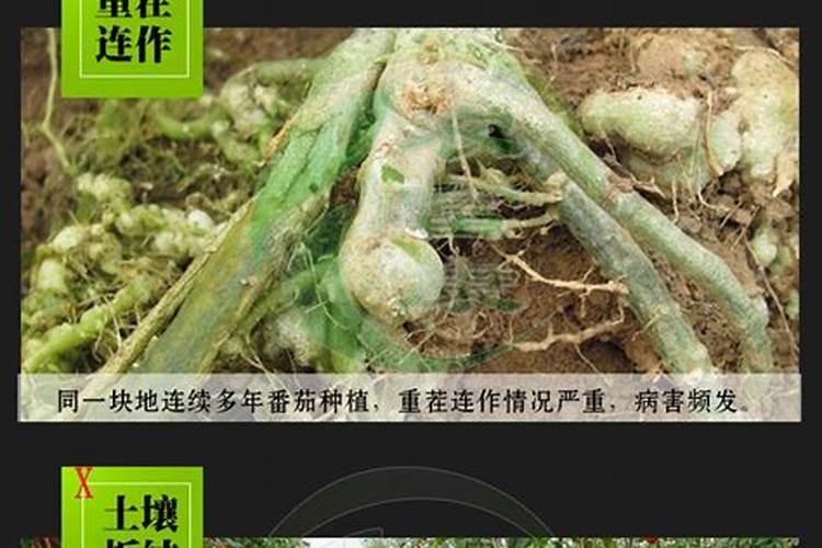 矿源黄腐酸钾和尿素能一起冲施么,用量是多少？