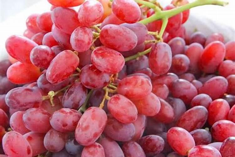 葡萄密要采取什么措施来保果