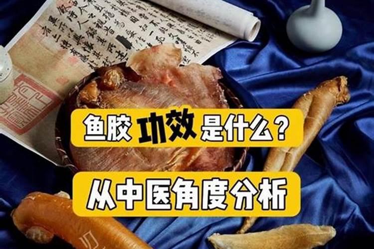 剥皮鱼药用价值