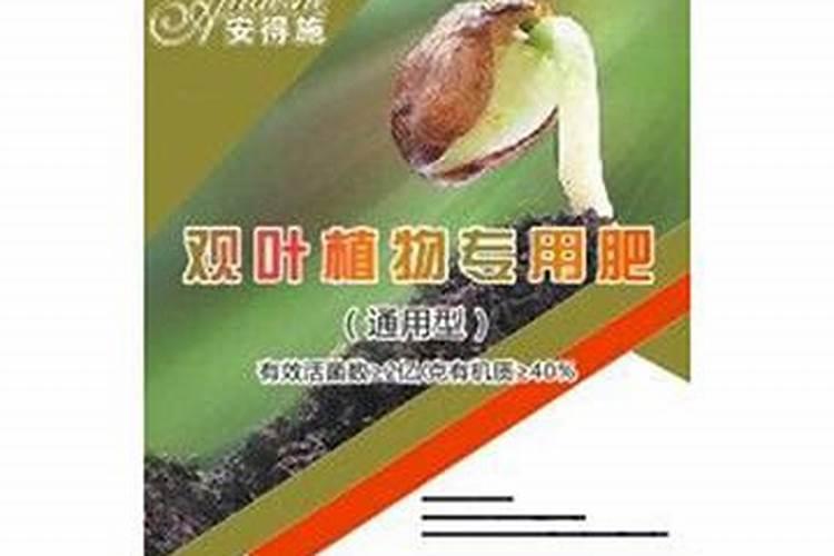 立春树苗该施什么肥