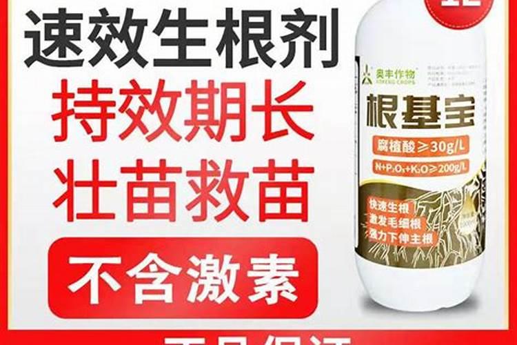 如何提高氮肥磷肥钾肥的利用率 提高氮肥磷肥钾肥的利用率方法