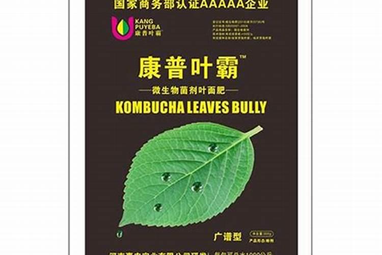 叶霸有什么做用