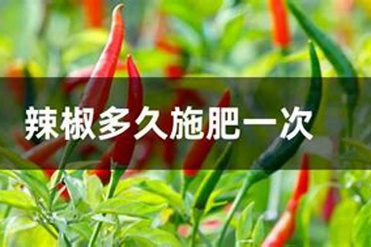 辣椒病害防治措施 辣椒养殖怎么施肥