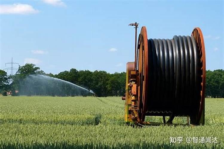 菜籽枯怎样腐熟 菜籽油枯怎么发酵做肥料