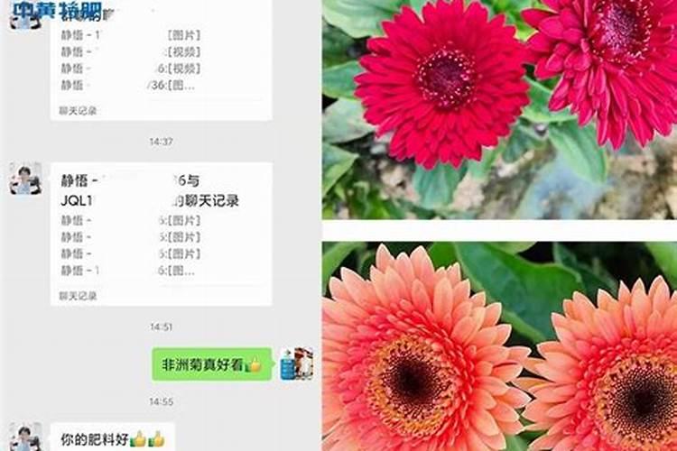 水稻氮肥过多如何补救 附症状