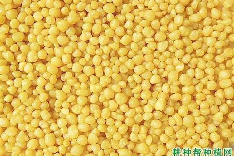 二胺用来养花可以吗？