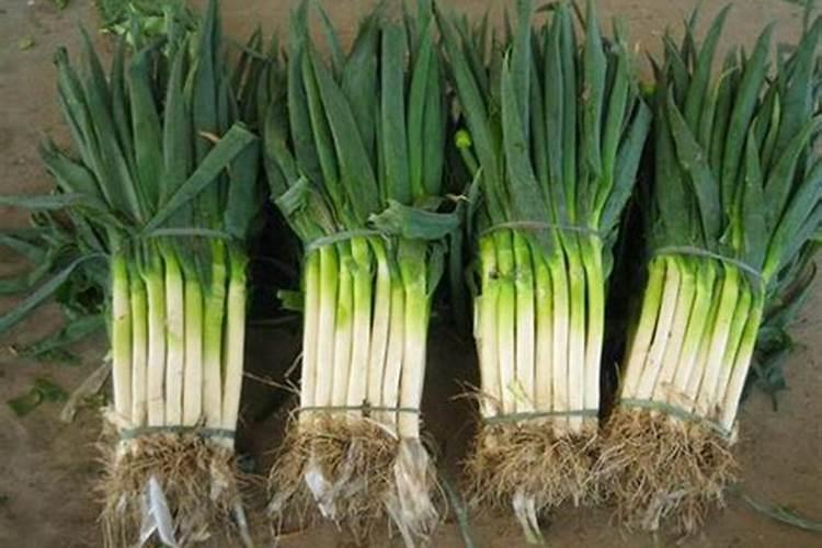 冲施晶和复合肥复配用在果树冲施上,建议用量范围？