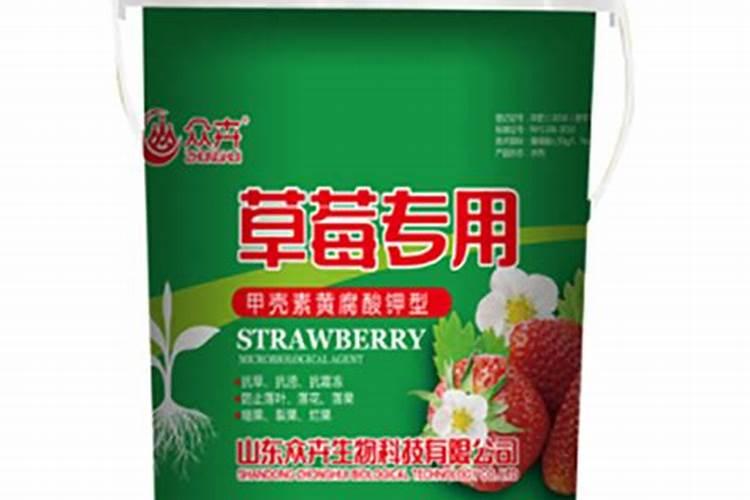 南瓜开花结果后枯萎是什么原因