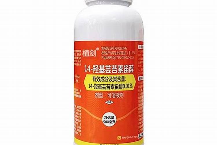 槟榔结果多施肥方法