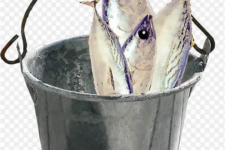 树干是树的哪个部位