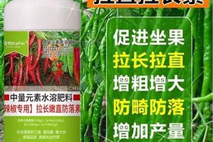 辣椒怎样施肥和配什么打比较好