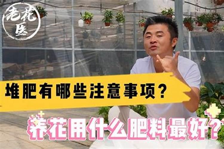 家庭养花要买什么肥料最好(自己在家种花适合的花肥)