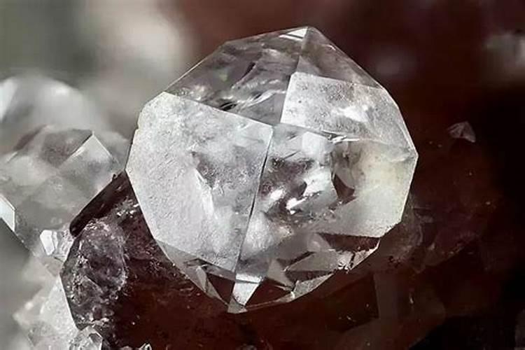 撒乐福矿物肥是什么肥