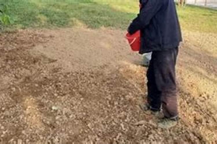 氮肥钾肥磷肥的溶解性