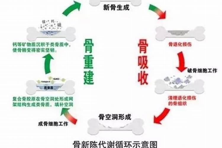 什么是禽类矿物质缺乏症