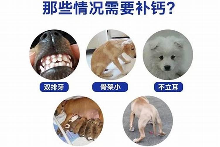 钙镁磷肥的作用及使用方法