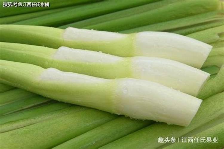 钾肥价格多少钱一吨