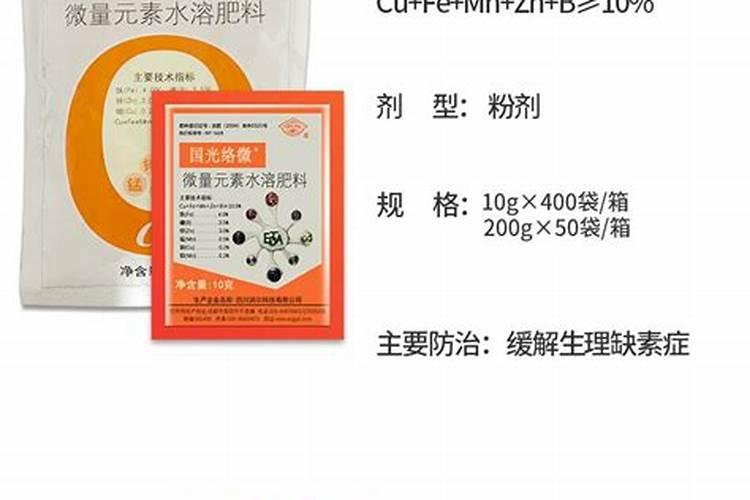 面包属于什么类食品